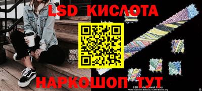 a pvp Гатчина