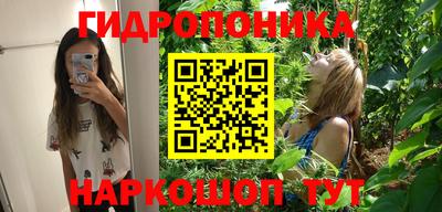 гидра Гусев