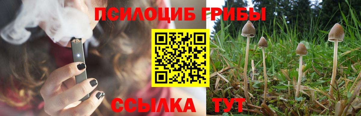 Галлюциногенные грибы ЛСД  Галлюциногенные грибы Cubensis  Вход с VPN  Каспийск 